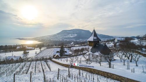 Forraltborfőző verseny Badacsonytördemicen