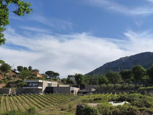 A vranac és a La Montenegrina